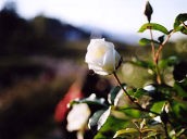 �C������