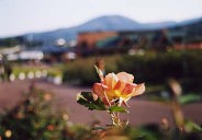 �������������