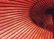 ������̎P