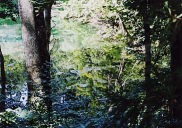 �����E���Y��Ȑ�