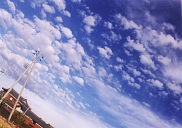 �V���̐�