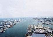 �����Ɍ�����͓��{�C