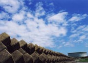 �������䕗���