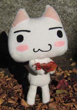 �Y��ȗt���σj��