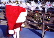 �g�����E�L�E�L