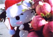 �R�b�\���_���Ă܂�