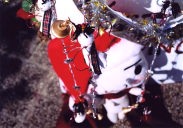 �V�g�~���