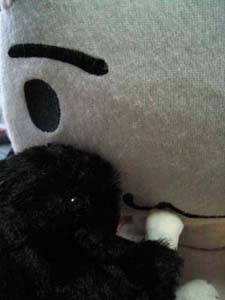 �g�����C�ɓ����Ă��ꂽ�݂����H